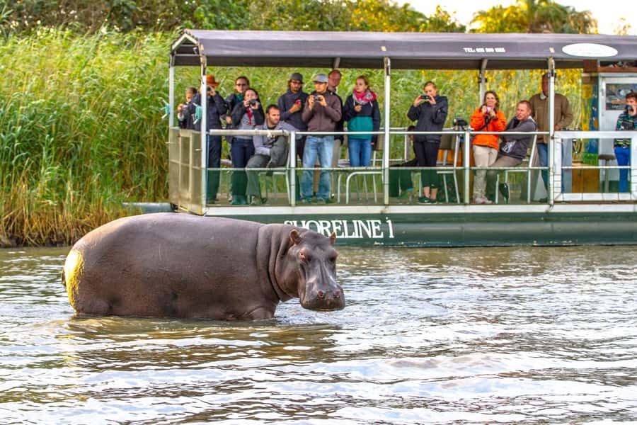 Durban:3 Day Hluhluwe-Imfolozi Park, St Lucia, iSimangaliso - Day 1: St Lucia Estuary Hippo Cruise and a 2.5-Hour Sunset Drive