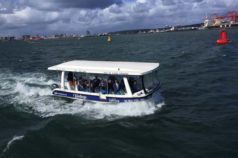 Durban: 30-Minute Harbor Boat Cruise - The Views You Actually Came For: Durban Skyline, Ships, and Birds