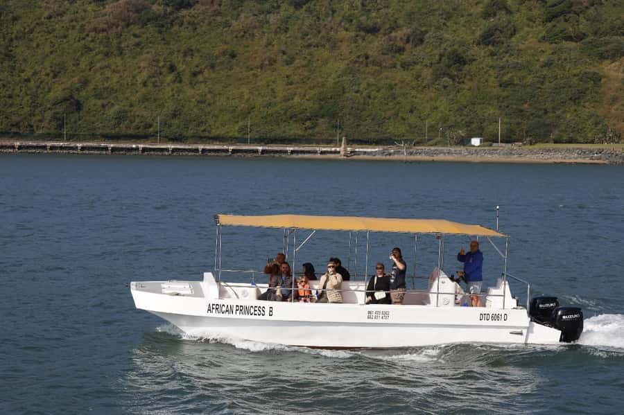 Durban: 30-Minute Harbor Boat Cruise - Comfort and Small Bumps: Noise, Choppy Water, and Dock Access