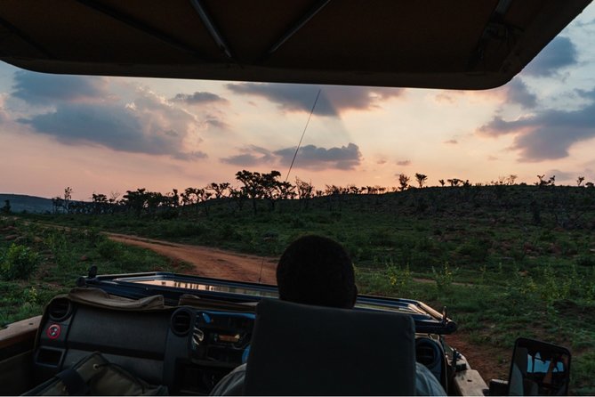 Durban: Big 5 Safari - Open Safari Vehicle at Exclusive Reserve - Why This Manyoni Big Five Safari Starts Before Sunrise