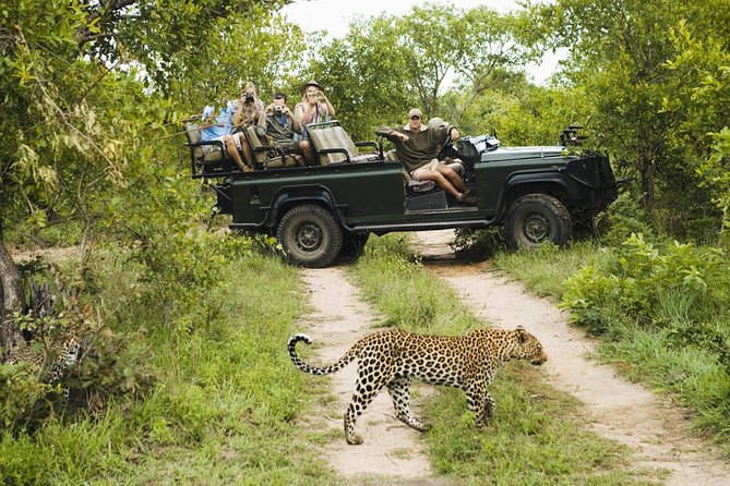 Durban: Big 5 Safari - Open Safari Vehicle at Exclusive Reserve - The Drive to Manyoni: Why the Long Hours Still Pay Off