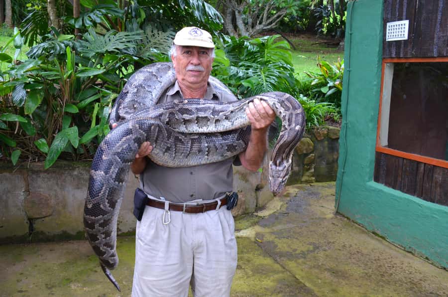 Durban: City & PheZulu Cultural Village Tour - Who Should Book This Tour, and Who Might Prefer Something Else