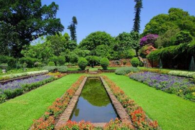 City Sightseeing and Walking Tour