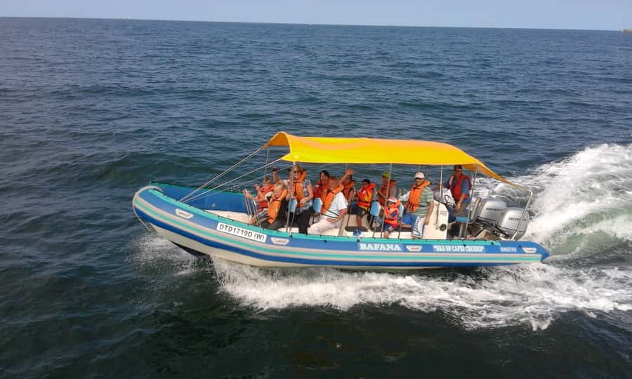 Durban: Durban: Whale and Dolphin Watching Boat Tour - Key things to know before you go