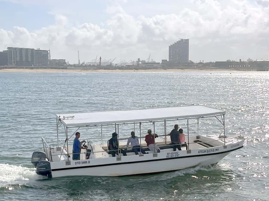 Durban: Durban: Whale and Dolphin Watching Boat Tour - The winter whale season, and what humpbacks do near Durban