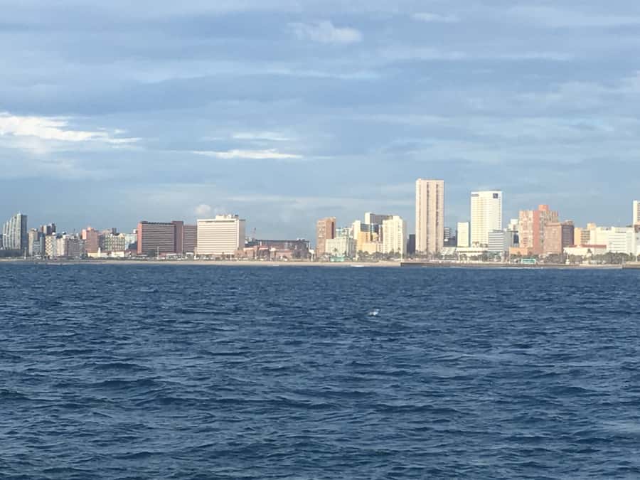 Durban: Durban: Whale and Dolphin Watching Boat Tour - Weather, boat choice, and the reality of animal sightings
