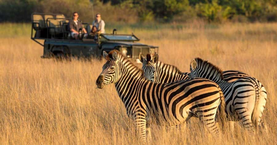 Durban: Half Day Phezulu Safari Park and Durban City Tour - Price and Value: What You Get for $212 Per Person