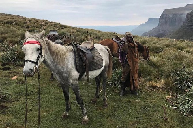 Durban: Journey along the Epic Sani Pass & Lesotho Tour - Key things I think you will care about