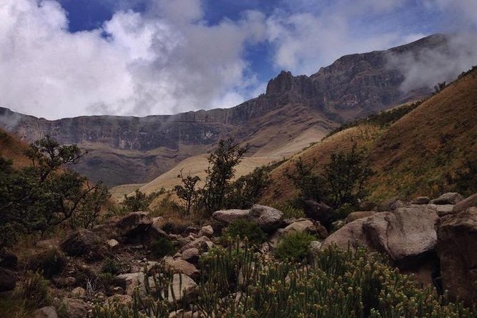 Durban: Journey along the Epic Sani Pass & Lesotho Tour - Comfort on the Sani Pass: cold layers, tall-seat reality, and a long day rhythm