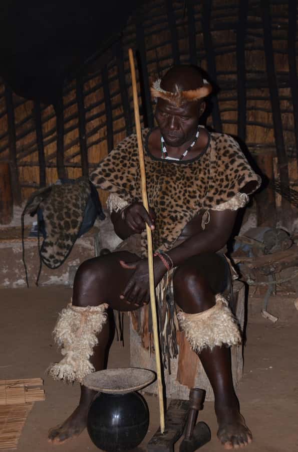 Durban: Phezulu Cultural Village & Reptile Park Tour - Getting the most out of your day, comfort and expectations