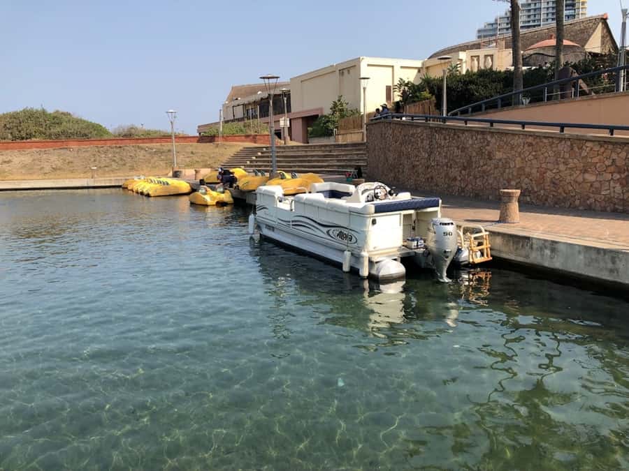 Durban Point Waterfront: Luxury Canal Boat Cruise - Durban Point canals in 30 minutes, what the route feels like