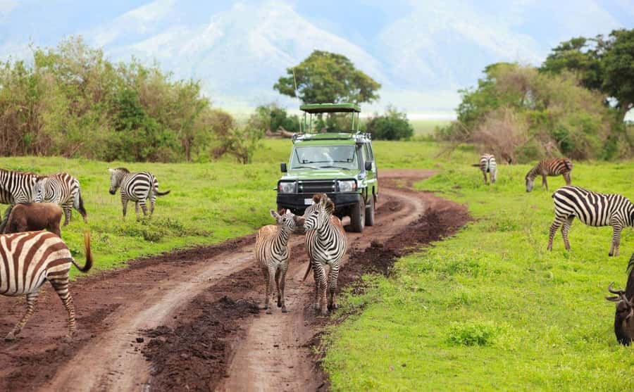 Durban: Tala Game Reserve, Natal Lion Park, and Phezulu Park - Key things to know before you go