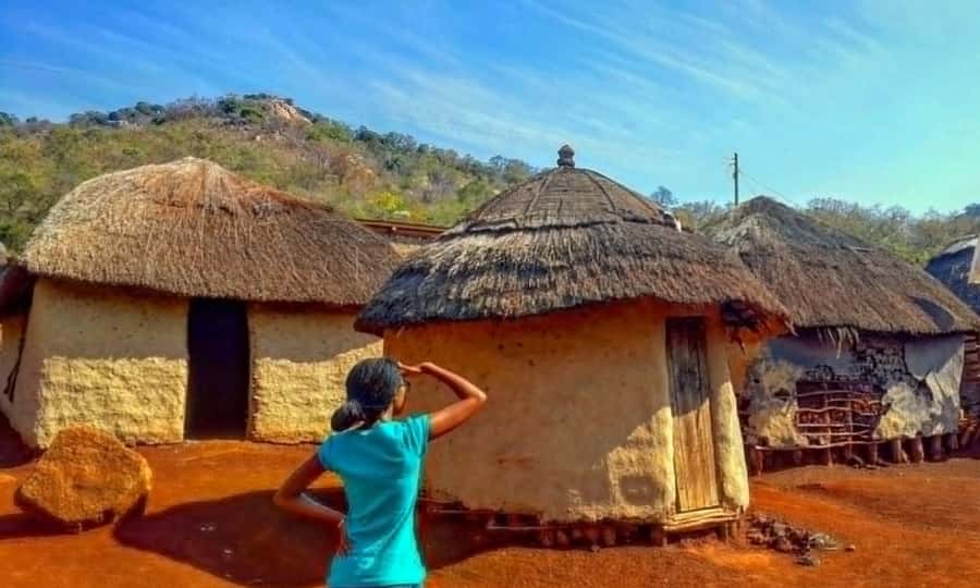 Durban: Tala Game Reserve, Natal Lion Park, and Phezulu Park - The timing you should plan around (and why it matters)