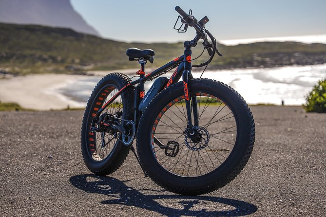 E-Bike Cape Peninsula tour - Why this Cape Peninsula e-bike day feels better than a bus ride