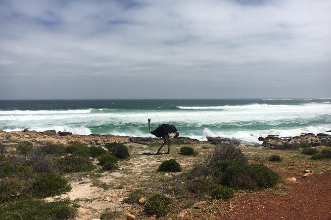 E-Bike Cape Peninsula tour - E-bike gear, helmets, and the small safety comforts that matter