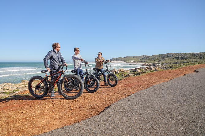 E-Bike Cape Peninsula tour - How long is the day, and where the time likely goes