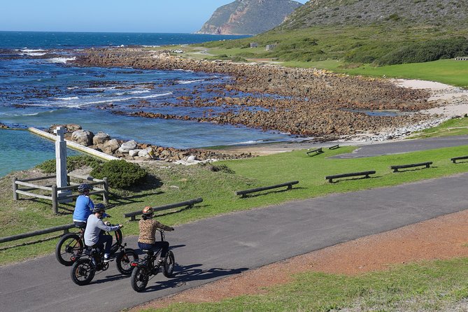 E-Bike Cape Peninsula tour - Price and value: what $156.32 includes, and what you still pay