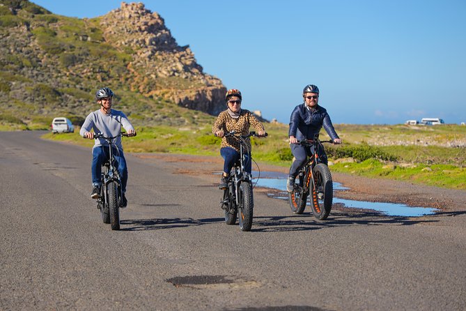 E-Bike Cape Peninsula tour - The air-conditioned pickup and Wi-Fi transfer that set the tone