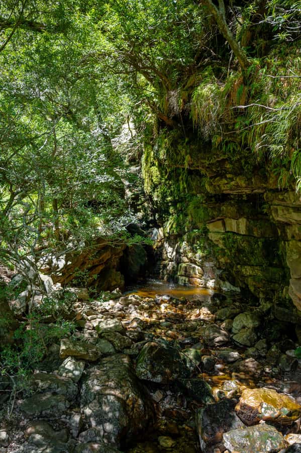 E-Bike & Hike Jonkershoek - The mini picnic in the valley: the best kind of break