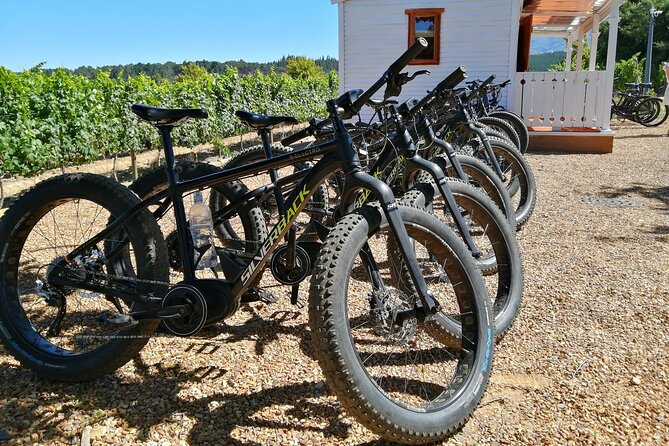 E-Bike Wine Tour Stellenbosch (Half Day) - Key highlights at a glance
