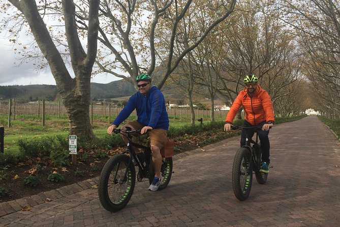E-Bike Wine Tour Stellenbosch (Half Day) - Why e-biking wine country in Stellenbosch feels different