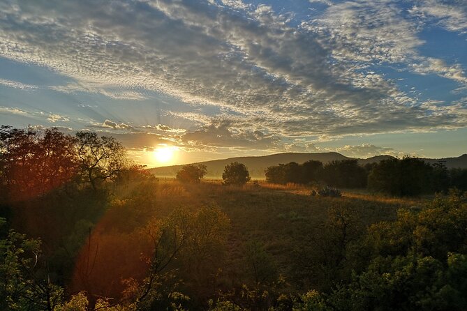 Early Morning Balloon Safari with Breakfast from Magaliesburg - What landing feels like, then the breakfast that makes it worth staying