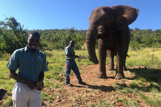 Elephant & Monkey Sanctuary Tour from Johannesburg - How the Elephants and Monkeys Fit Together