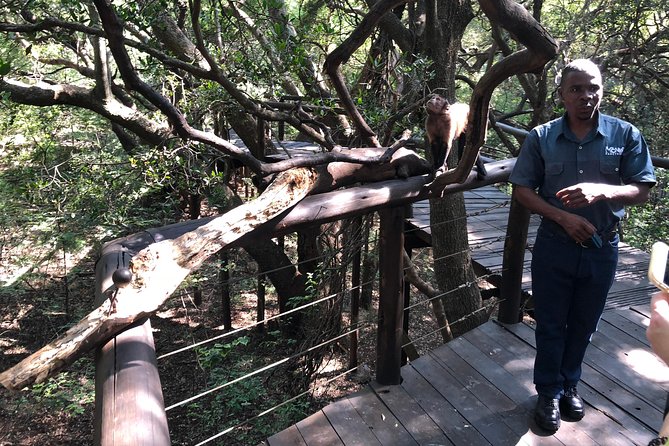 Elephant & Monkey Sanctuary Tour from Johannesburg - Who This Tour Suits Best (and Who Might Want to Skip It)