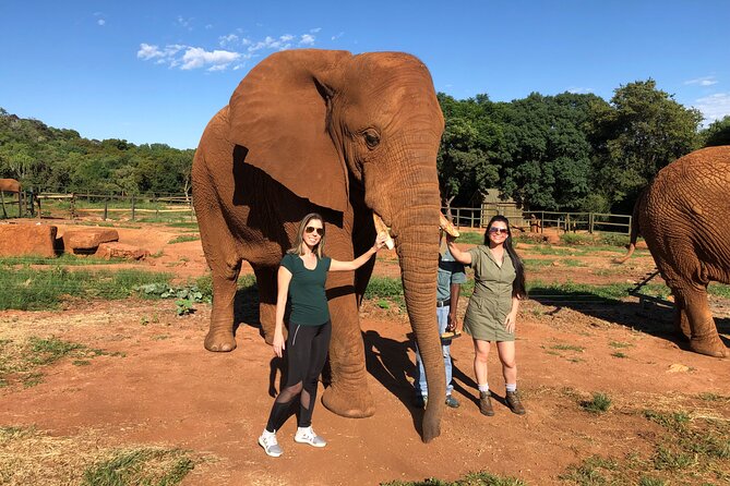 Elephant & Monkey Sanctuary Tour from Johannesburg - Bush Babies Monkey Sanctuary: Lemurs, Species, and a 3 km Enclosure Loop