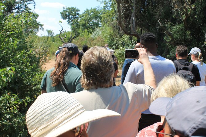 Elephant Sanctuary Tour from Johannesburg - Price and Value: Is $274.85 Fair for a Half Day?