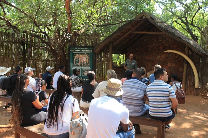 Elephant Sanctuary Tour from Johannesburg - How to Prepare So the Experience Feels Smooth