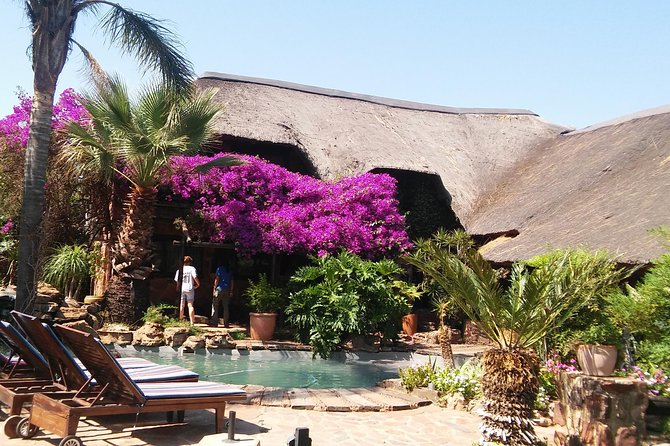 Elephant Walk Guided Half Day Tour from Johannesburg - Who This Tour Is Best For (And Who Might Find It Frustrating)