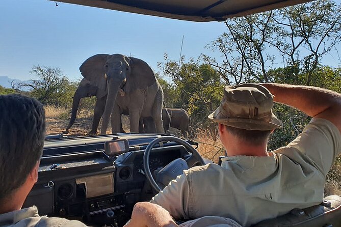 Exclusive Morning Game Drive Safari near Hoedspruit - The 5:30am morning start, and why it is not just for “early birds”