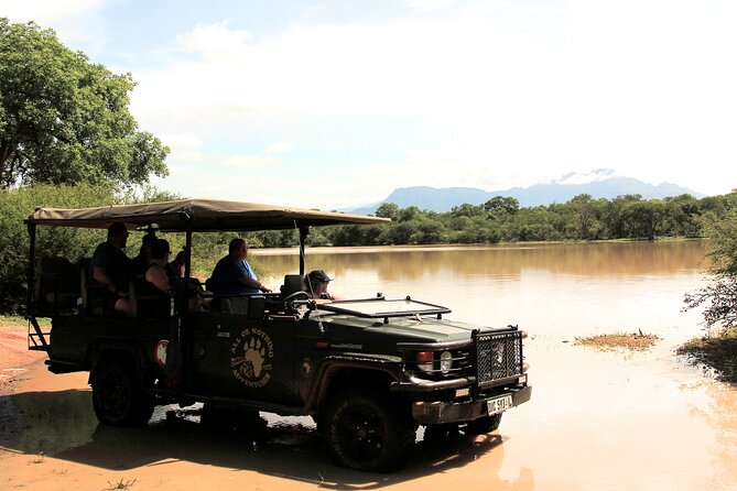 Exclusive Morning Game Drive Safari near Hoedspruit - Big Five focus, and the other wildlife that makes it feel worth it