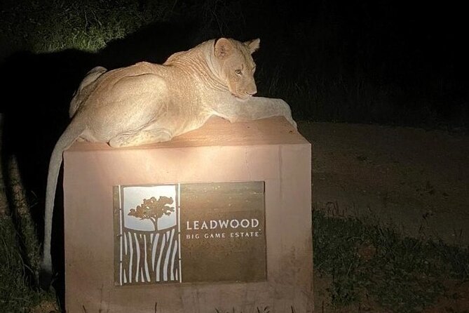 Exclusive Night Drive Safari near Hoedspruit - Where you start, how you get there, and what to plan for