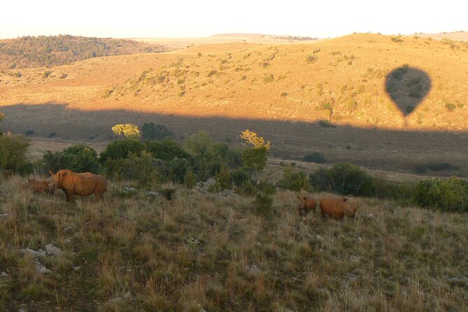 Exclusive Safari Flight - The 1-Hour Sunrise Flight: What You’ll See Over the Game Reserves