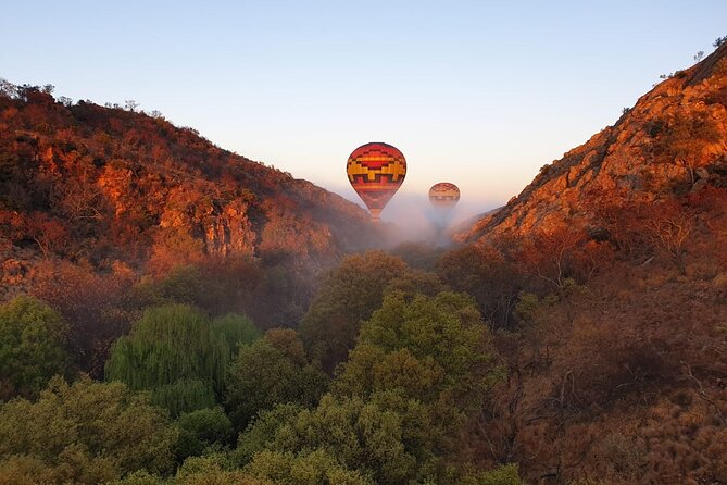 Exclusive Safari Flight - Champagne Tradition and Pilot Certificates: The Part That Makes It Memorable