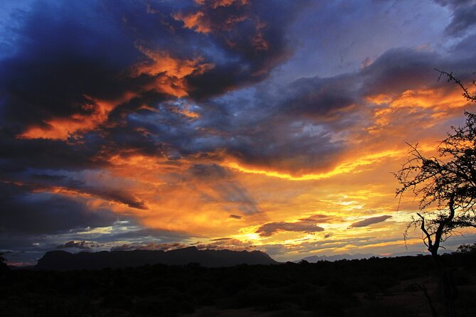 Exclusive Sunset Game Drive Safari near Hoedspruit - Key Things That Make This Safari Worth Your Time