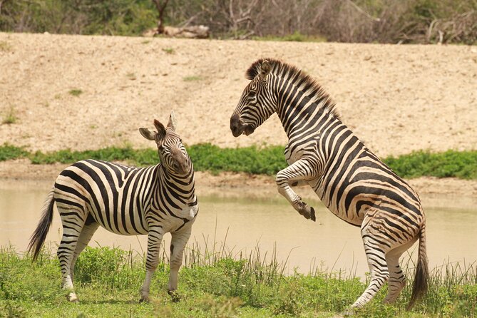Exclusive Sunset Game Drive Safari near Hoedspruit - Sundowner Stop with Drinks and Snacks, Plus Scenic Views