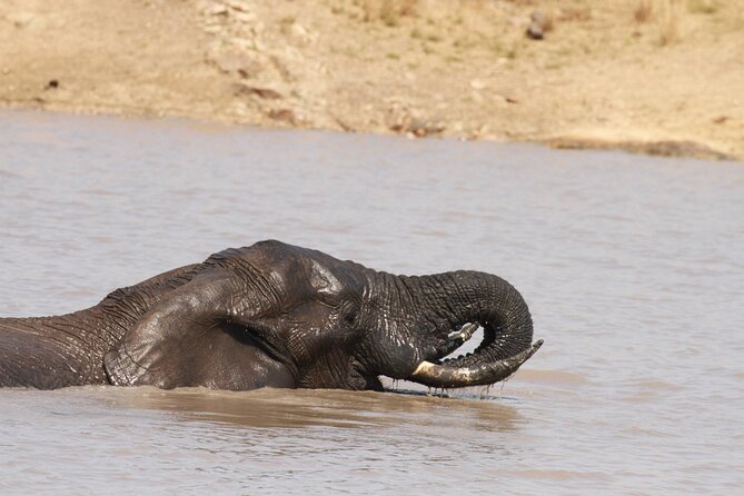 Exclusive Sunset Game Drive Safari near Hoedspruit - Price and Value: What $112.20 Covers (and Why It Adds Up)