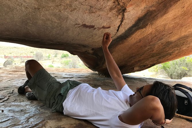 Explore ancient rock art on a private guided trip from Cape Town - Why Cederberg rock art feels different from a quick stop
