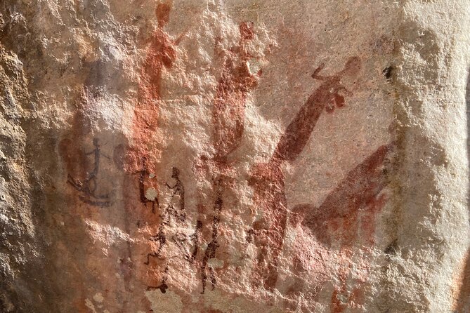 Explore ancient rock art on a private guided trip from Cape Town - A private guide, with real conversation (and Callan as the example)