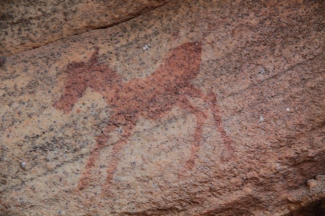 Explore ancient rock art on a private guided trip from Cape Town - Price and value at about $457 per person, plus what to budget for