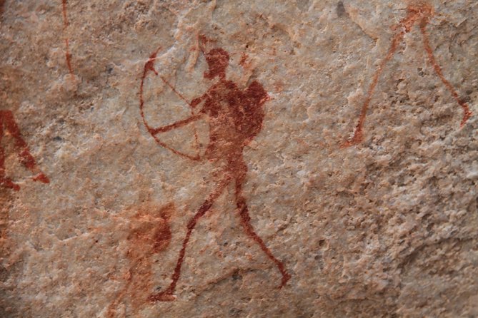 Explore ancient rock art on a private guided trip from Cape Town - Driving out of Cape Town, Swartland views, and a quick Clanwilliam break