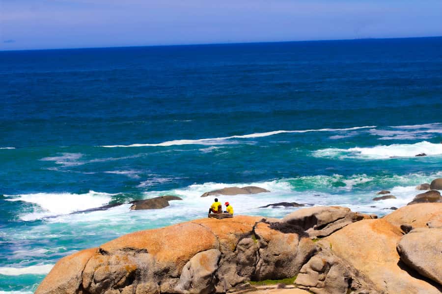 Explore Cape of Good Hope and Boulders Beach Private Tour - Chapman’s Peak Drive and Noordhoek: The Scenic Stretch You’ll Want Window-Space for