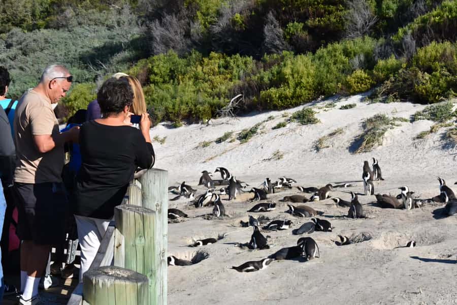 Explore: Cape of Good Hope and Penguins Full-Day Tour - Cape of Good Hope: Where the Day’s Biggest Landmark Hit Happens