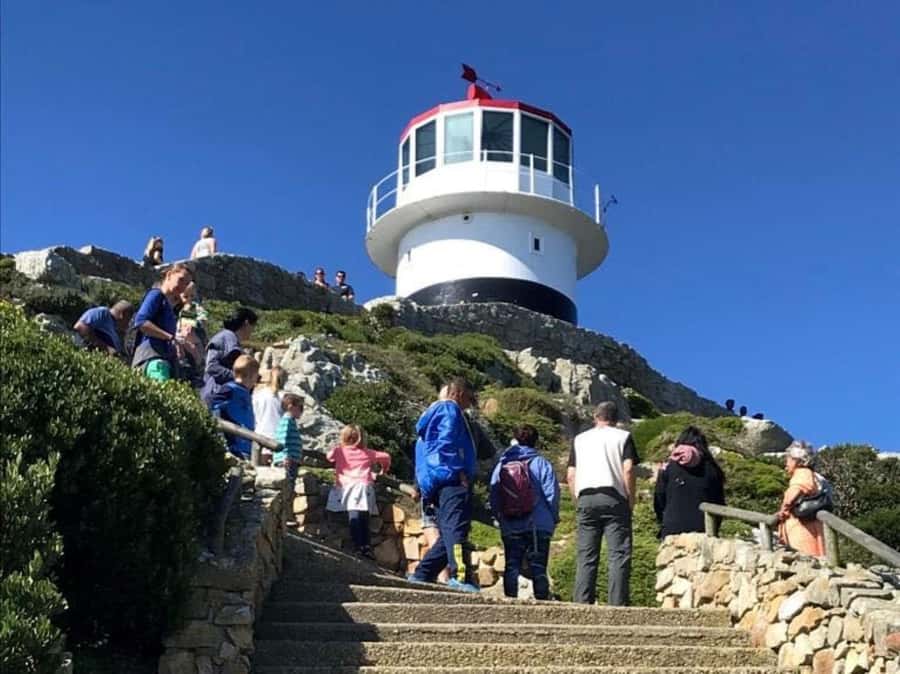 Fascinating Cape Peninsula Experience (private & exclusiv) - How a Private 8-Hour Peninsula Day Feels Different