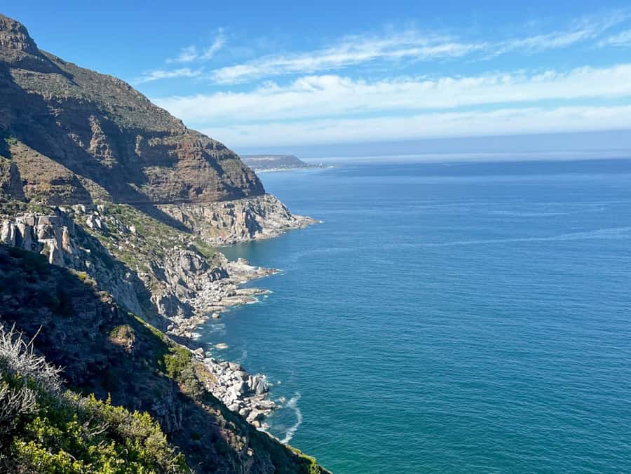 Fascinating Cape Peninsula Experience (private & exclusiv) - Cape Fynbos Vegetation: More Than a Background Detail