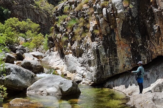 Fly Fishing in Cape Town for Five Hours - Choosing the Right Session: Trout in Cape Streams or Leer/Garrick in the Estuary