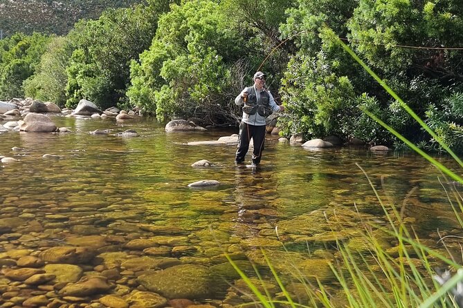 Fly Fishing in Cape Town for Five Hours - Price and Logistics: Is $250 Worth It?